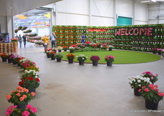 De ingang van P. van der Haak Handelskwekerij.